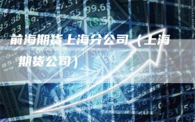 前海期货上海分公司（上海 期货公司）