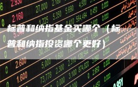 标普和纳指基金买哪个（标普和纳指投资哪个更好）