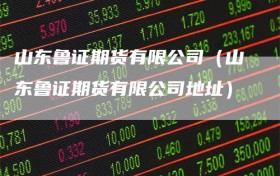 山东鲁证期货有限公司（山东鲁证期货有限公司地址）