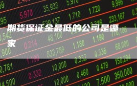 期货保证金最低的公司是哪家