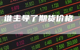 谁主导了期货价格