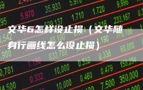 文华6怎样设止损（文华随身行画线怎么设止损）