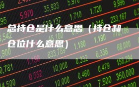 总持仓是什么意思（持仓和仓位什么意思）