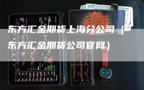 东方汇金期货上海分公司（东方汇金期货公司官网）