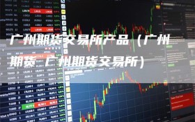 广州期货交易所产品（广州期货 广州期货交易所）
