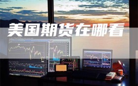 美国期货在哪看