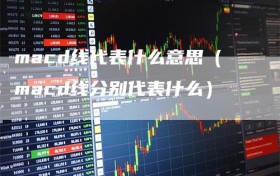 macd线代表什么意思（macd线分别代表什么）