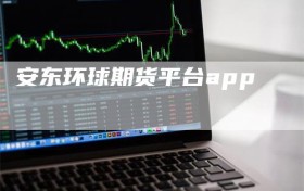 安东环球期货平台app