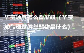 华宝油气怎么看涨跌（华宝油气涨跌的参照物是什么）