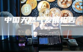 中国天然气发展报告