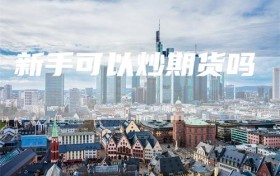 新手可以炒期货吗