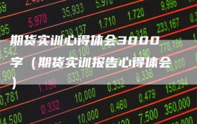 期货实训心得体会3000字（期货实训报告心得体会）