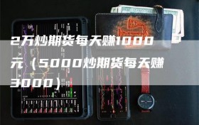2万炒期货每天赚1000元（5000炒期货每天赚3000）