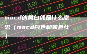 macd的黄白线是什么意思（macd白色和黄色线）
