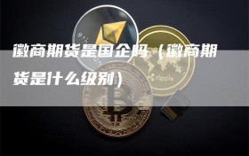 徽商期货是国企吗（徽商期货是什么级别）