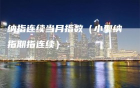 纳指连续当月指数（小型纳指期指连续）