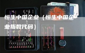 恒生中国企业（恒生中国企业指数代码）