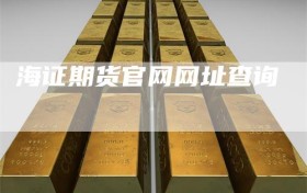 海证期货官网网址查询