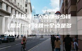 一手期货涨一个点赚多少钱（期货一手涨跌一个点是多少钱）