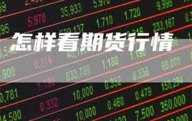 怎样看期货行情