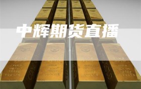 中辉期货直播