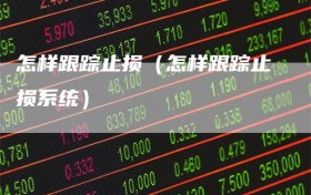 怎样跟踪止损（怎样跟踪止损系统）