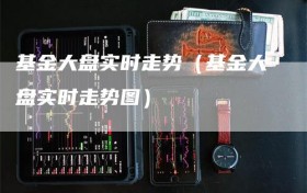 基金大盘实时走势（基金大盘实时走势图）