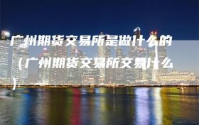 广州期货交易所是做什么的（广州期货交易所交易什么）