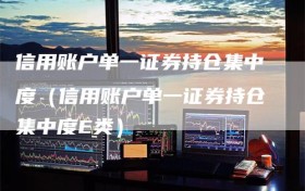信用账户单一证券持仓集中度（信用账户单一证券持仓集中度E类）