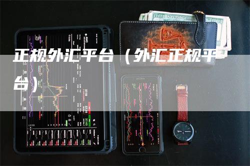 正规外汇平台（外汇正规平台）