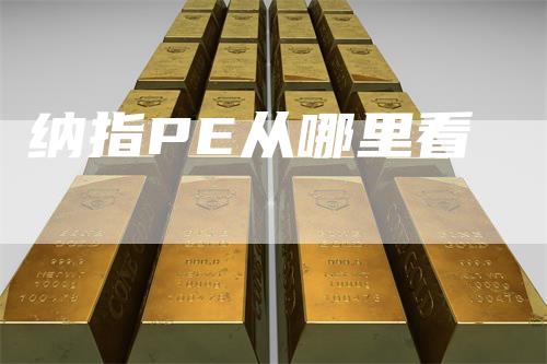 纳指PE从哪里看
