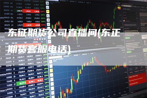 东征期货公司直播间(东正期货客服电话)