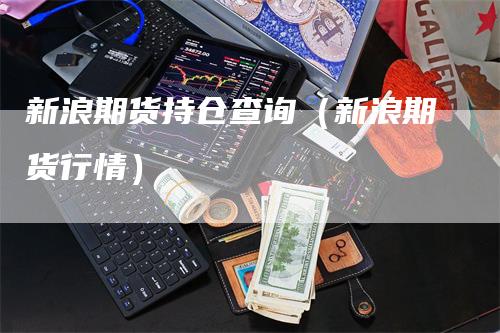 新浪期货持仓查询(新浪期货行情)