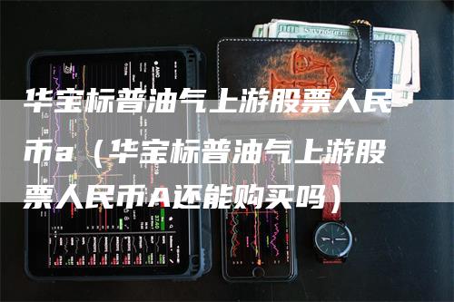 华宝标普油气上游股票人民币a(华宝标普油气上游股票人民币A还能购买吗)