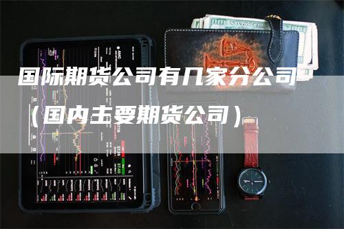 国际期货公司有几家分公司(国内主要期货公司)