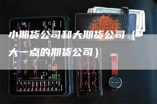 小期货公司和大期货公司(大一点的期货公司)