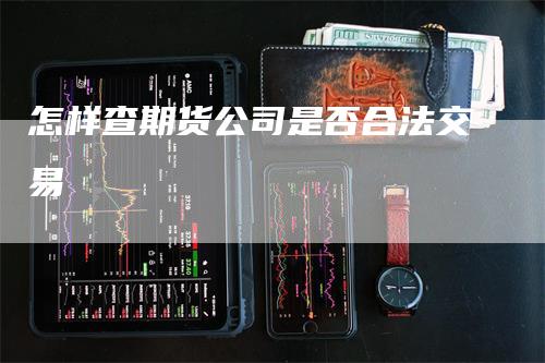 怎样查期货公司是否合法交易
