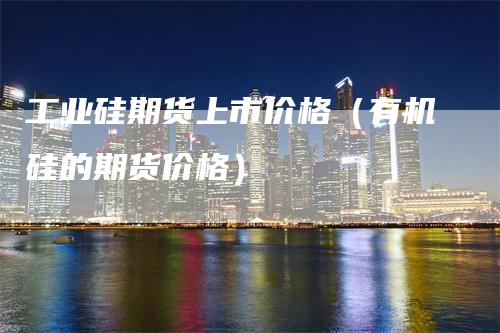 工业硅期货上市价格（有机硅的期货价格）