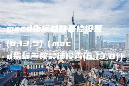 macd指标参数最佳设置(6,13,5)(macd指标参数最佳设置(6,13,8))