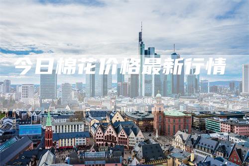 今日棉花价格最新行情