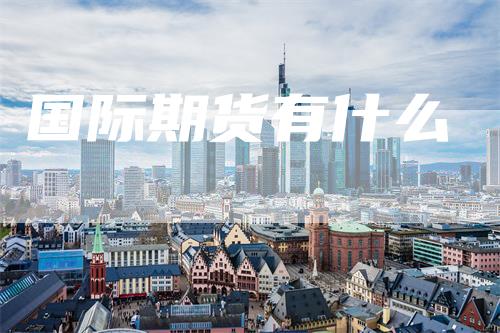 国际期货有什么