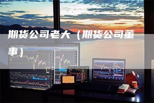 期货公司老大（期货公司董事）