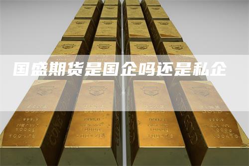 国盛期货是国企吗还是私企