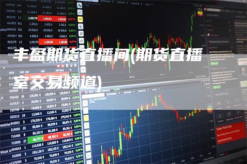 丰盈期货直播间(期货直播室交易频道)