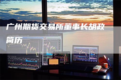 广州期货交易所董事长胡政简历