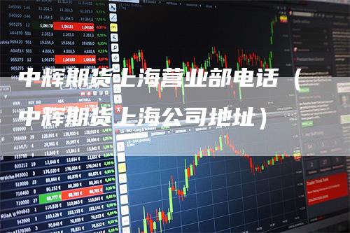 中辉期货上海营业部电话（中辉期货上海公司地址）