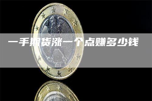 一手期货涨一个点赚多少钱