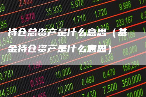 持仓总资产是什么意思（基金持仓资产是什么意思）
