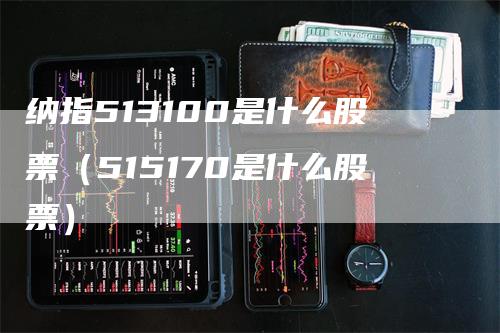 纳指513100是什么股票(515170是什么股票)