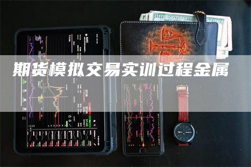 期货模拟交易实训过程金属
